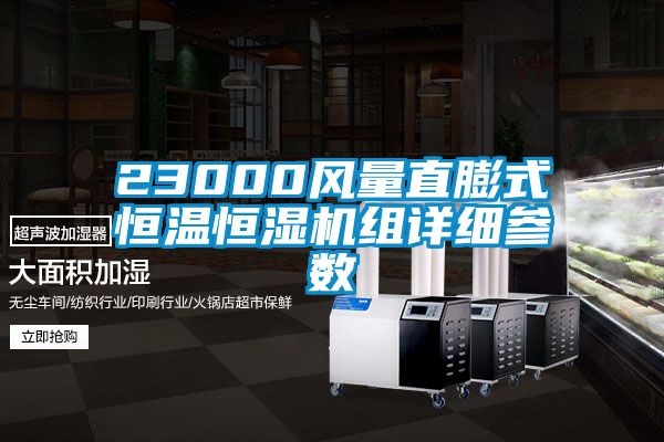 欧美黄色电影在线播放 23000风量直膨式恒温恒湿机组详细参数