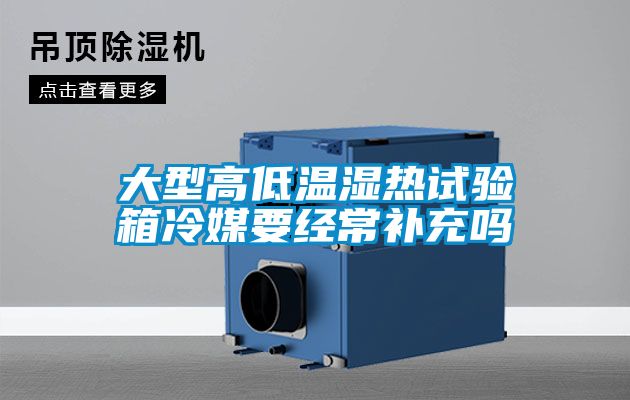 欧美黄色电影在线播放 大型高低温湿热试验箱冷媒要经常补充吗