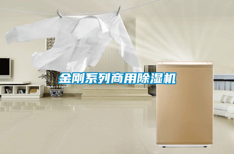 欧美黄色性爱视频网站 金刚系列商用除湿机
