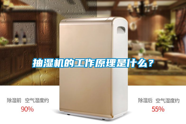 欧美黄色电影在线播放 抽湿机的工作原理是什么？