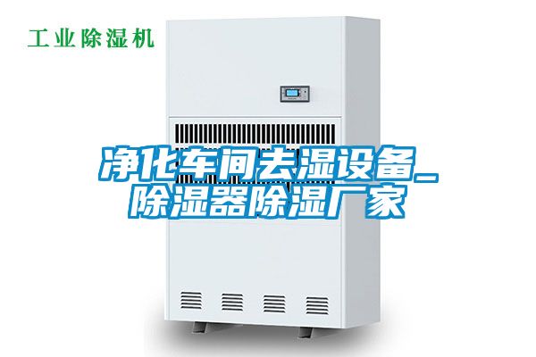 欧美成色手机在线观看 净化车间去湿设备_除湿器除湿厂家