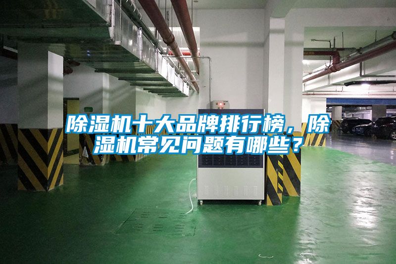 欧美成色手机在线观看 除湿机十大品牌排行榜，除湿机常见问题有哪些？