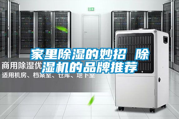 欧美黄色性爱视频网站 家里除湿的妙招 除湿机的品牌推荐
