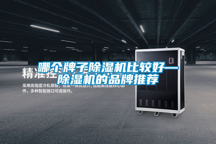 欧美黄色电影在线播放 哪个牌子除湿机比较好—除湿机的品牌推荐