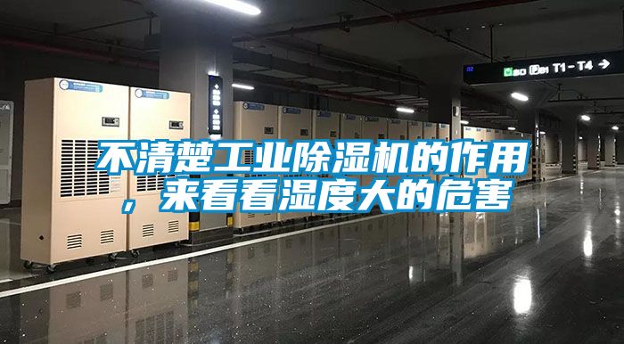 欧美黄色电影在线播放 不清楚工业除湿机的作用，来看看湿度大的危害