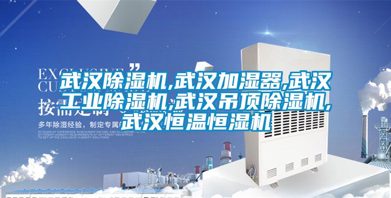 武汉除湿机,武汉加湿器,武汉工业除湿机,武汉吊顶除湿机,武汉恒温恒湿机