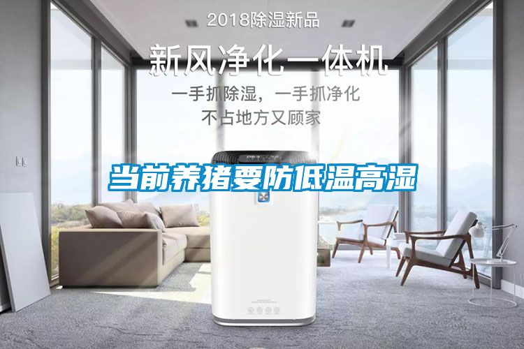 欧美成色手机在线观看 当前养猪要防低温高湿