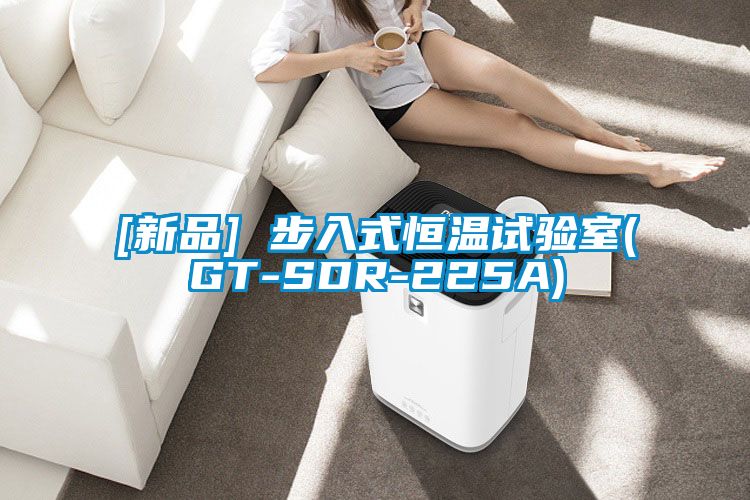 欧美黄色性爱视频网站 [新品] 步入式恒温试验室(GT-SDR-225A)