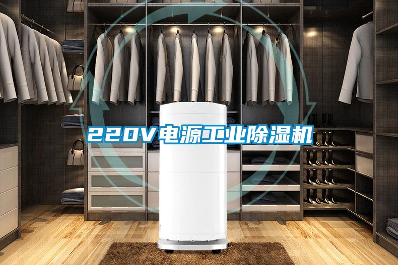 欧美黄色性爱视频网站 220V电源工业除湿机