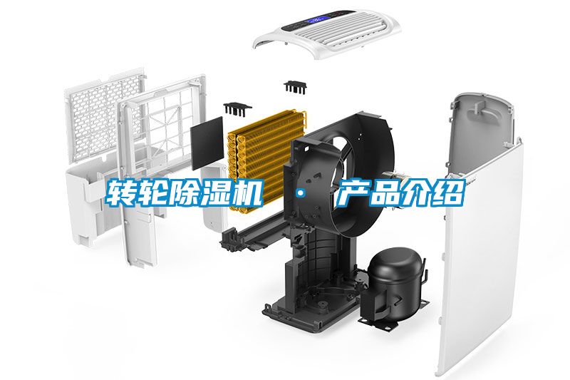 欧美黄色性爱视频网站 转轮除湿机 · 产品介绍