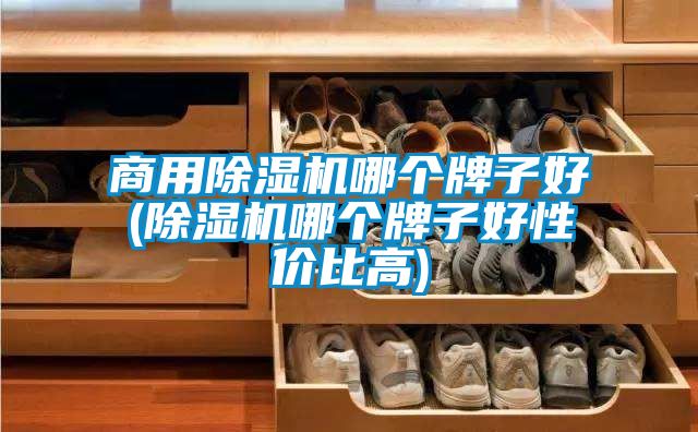 欧美黄色性爱视频网站 商用除湿机哪个牌子好(除湿机哪个牌子好性价比高)