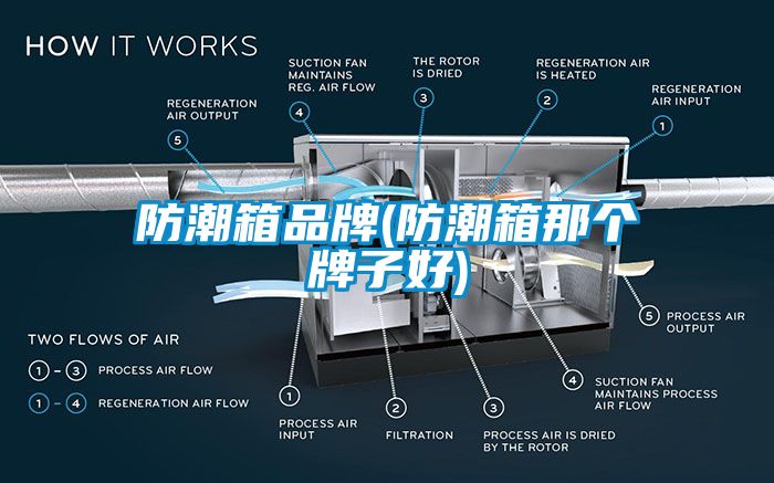 欧美黄色电影在线播放 防潮箱品牌(防潮箱那个牌子好)