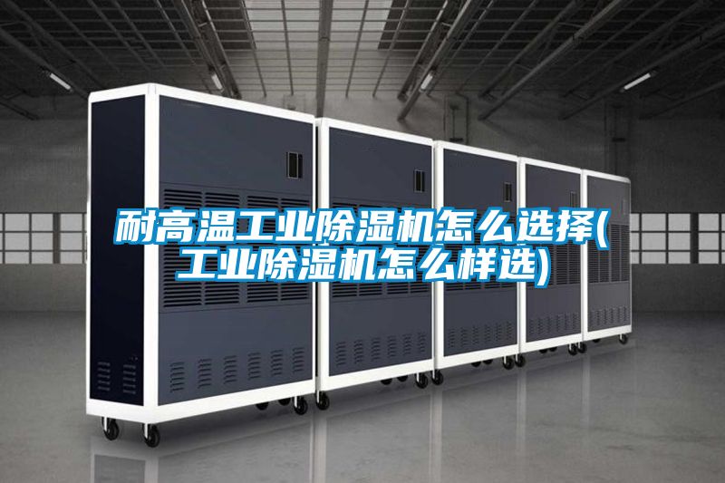 欧美成色手机在线观看 耐高温工业除湿机怎么选择(工业除湿机怎么样选)