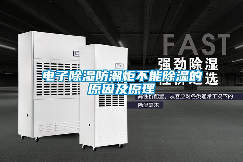 欧美成色手机在线观看 电子除湿防潮柜不能除湿的原因及原理