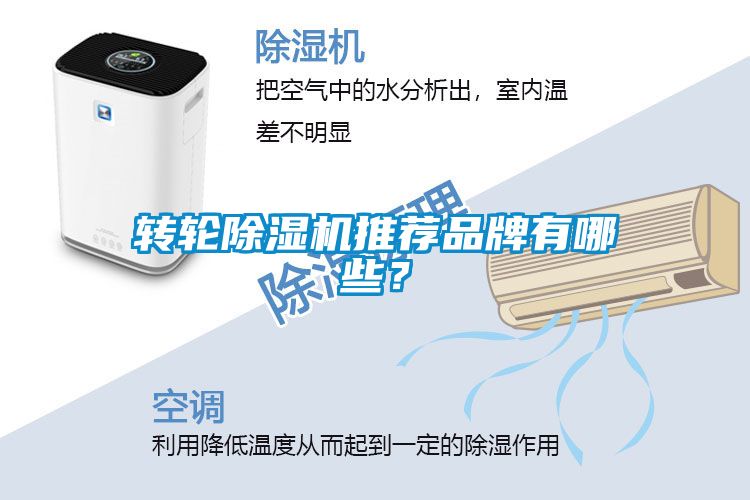 欧美黄色性爱视频网站 转轮除湿机推荐品牌有哪些？