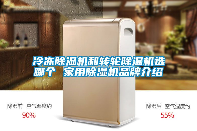 欧美黄色性爱视频网站 冷冻除湿机和转轮除湿机选哪个 家用除湿机品牌介绍