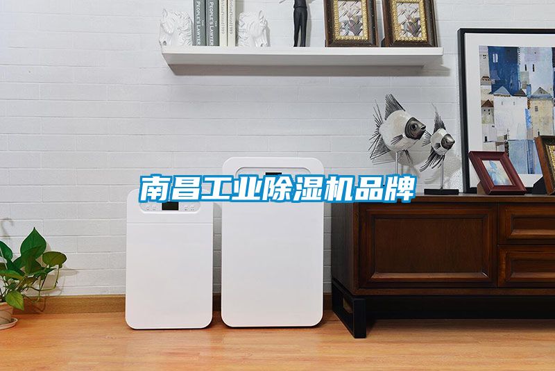 欧美黄色性爱视频网站 南昌工业除湿机品牌