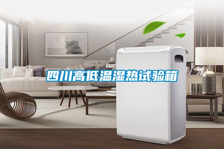 欧美黄色性爱视频网站 四川高低温湿热试验箱