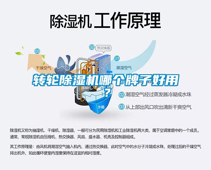 欧美黄色性爱视频网站 转轮除湿机哪个牌子好用？