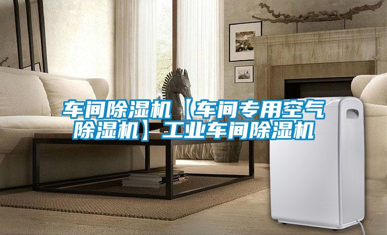 欧美成色手机在线观看 车间除湿机【车间专用空气除湿机】工业车间除湿机