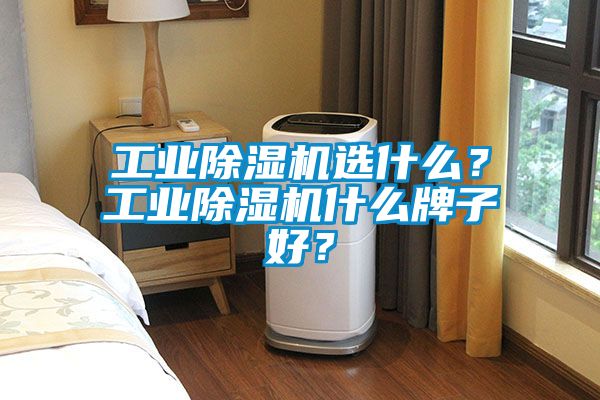 欧美成色手机在线观看 工业除湿机选什么？工业除湿机什么牌子好？