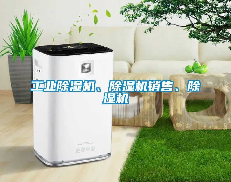 欧美黄色性爱视频网站 工业除湿机、除湿机销售、除湿机