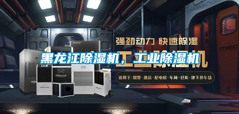 欧美黄色电影在线播放 黑龙江除湿机，工业除湿机