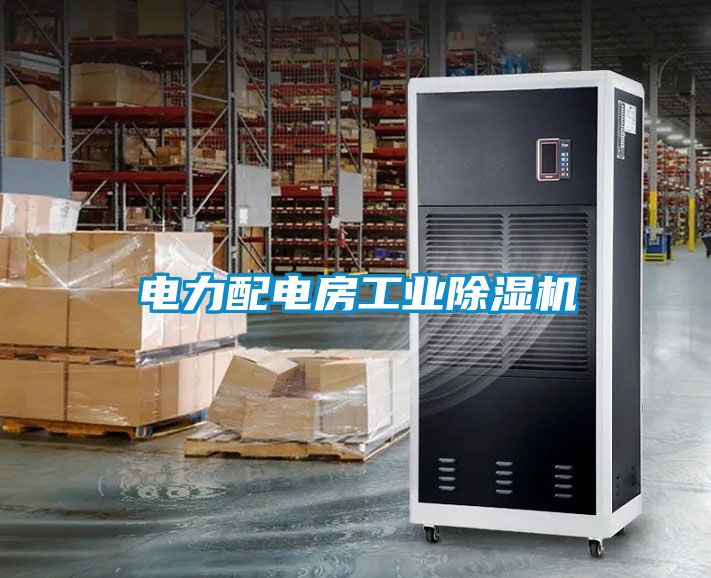 欧美黄色电影在线播放 电力配电房工业除湿机