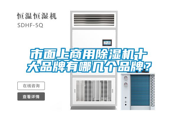 欧美黄色电影在线播放 市面上商用除湿机十大品牌有哪几个品牌？