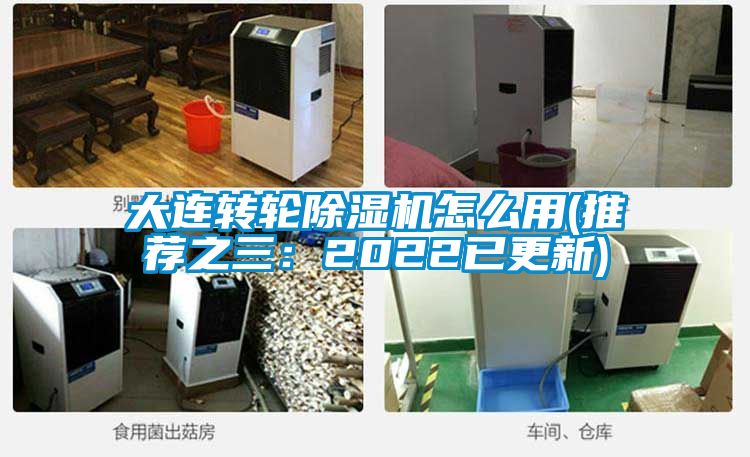 欧美黄色性爱视频网站 大连转轮除湿机怎么用(推荐之三：2022已更新)