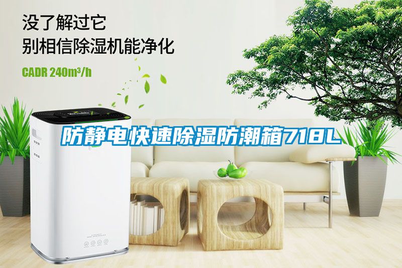 欧美黄色性爱视频网站 防静电快速除湿防潮箱718L
