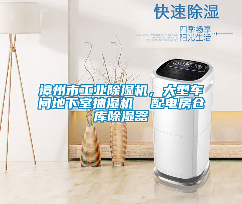 欧美黄色性爱视频网站 漳州市工业除湿机，大型车间地下室抽湿机  配电房仓库除湿器