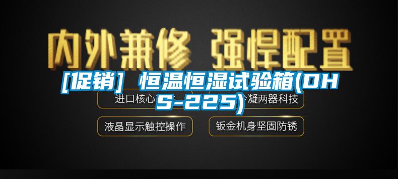 欧美黄色电影在线播放 [促销] 恒温恒湿试验箱(DHS-225)