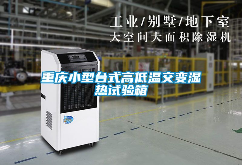 欧美成色手机在线观看 重庆小型台式高低温交变湿热试验箱