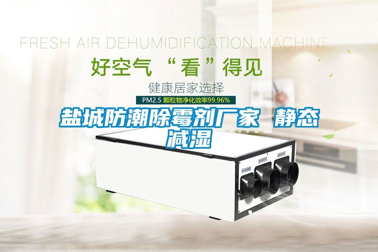 欧美成色手机在线观看 盐城防潮除霉剂厂家 静态减湿
