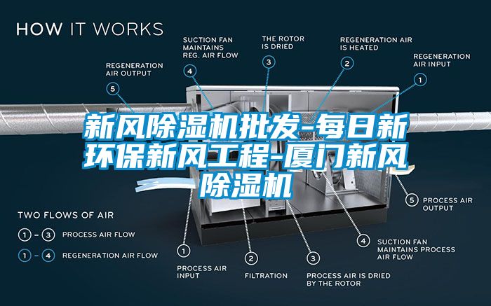 欧美黄色性爱视频网站 新风除湿机批发-每日新环保新风工程-厦门新风除湿机