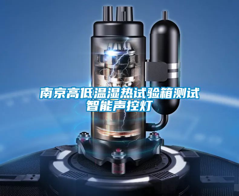 欧美黄色性爱视频网站 南京高低温湿热试验箱测试智能声控灯