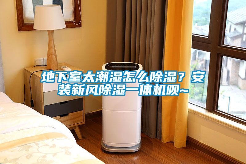 欧美黄色电影在线播放 地下室太潮湿怎么除湿？安装新风除湿一体机呗~
