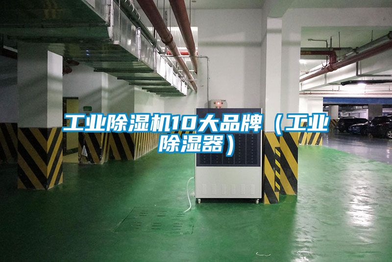 欧美黄色电影在线播放 工业除湿机10大品牌（工业除湿器）