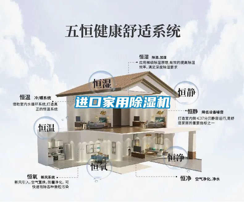 欧美黄色性爱视频网站 进口家用除湿机