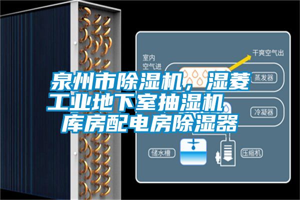 欧美黄色电影在线播放 泉州市除湿机，湿菱工业地下室抽湿机  库房配电房除湿器