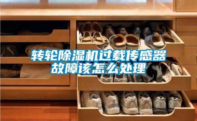 欧美成色手机在线观看 转轮除湿机过载传感器故障该怎么处理