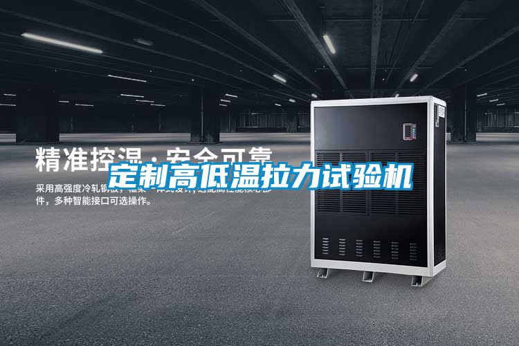 欧美黄色性爱视频网站 定制高低温拉力试验机