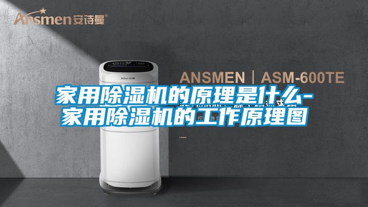 欧美黄色电影在线播放 家用除湿机的原理是什么-家用除湿机的工作原理图