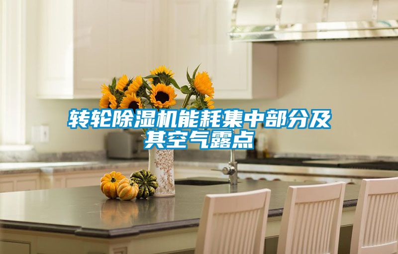 欧美黄色性爱视频网站 转轮除湿机能耗集中部分及其空气露点
