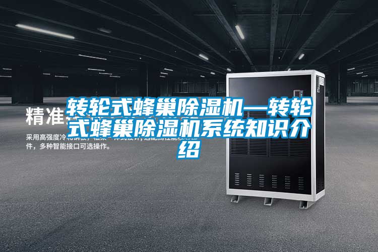 欧美成色手机在线观看 转轮式蜂巢除湿机—转轮式蜂巢除湿机系统知识介绍