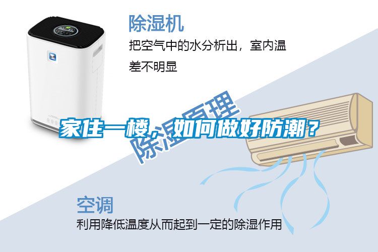 欧美黄色电影在线播放 家住一楼，如何做好防潮？
