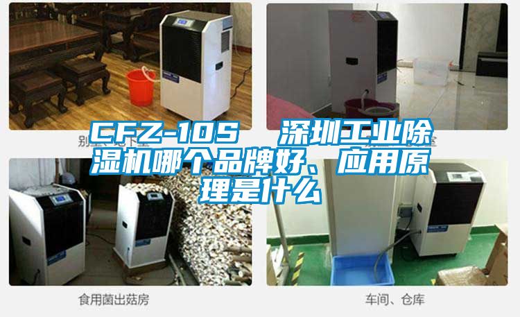 欧美黄色性爱视频网站 CFZ-10S  深圳工业除湿机哪个品牌好、应用原理是什么
