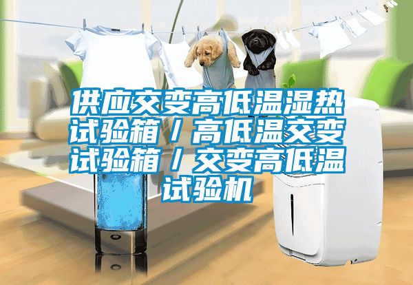 欧美黄色电影在线播放 供应交变高低温湿热试验箱／高低温交变试验箱／交变高低温试验机