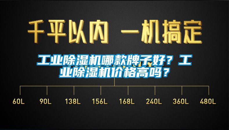欧美黄色性爱视频网站 工业除湿机哪款牌子好？工业除湿机价格高吗？
